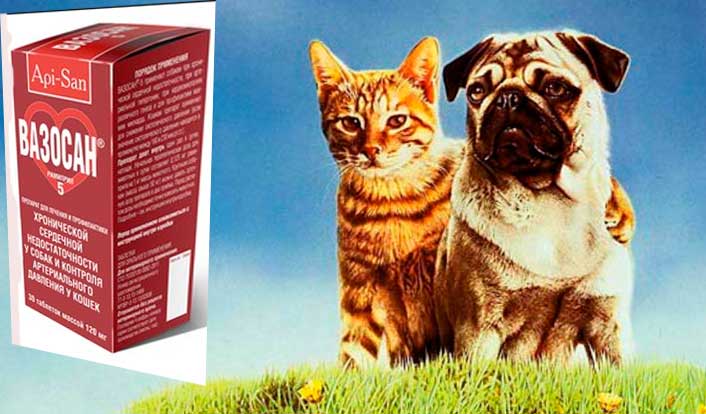 Инструкция по применению ветеринарного препарата Вазосан для собак и   кошек (таблетки по 0,625 мг, 1,25 мг, 2,5 мг и 5 мг)
