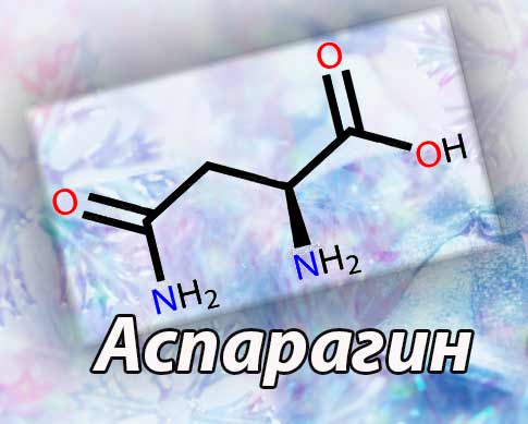 аспарагин аминокислота, формула