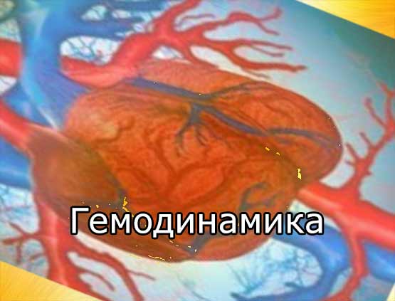 Гемодинамика – сердца и сосудов, физиология, нарушения при патологии, типы, показатели