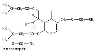 Ацевалтрат - действующее вещество лекарсвтвенного растения валерианы