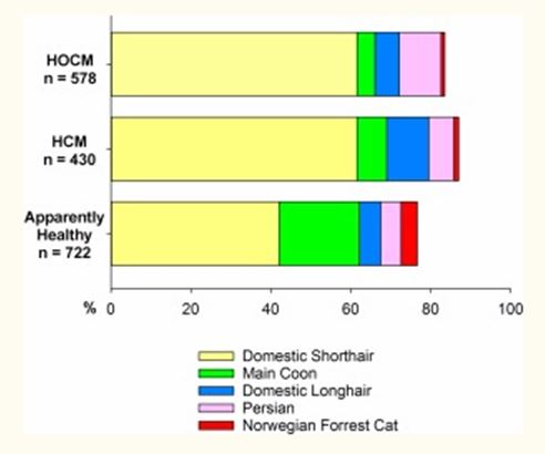 Наиболее распространенные породы в популяциях для кошачьих. HCM, неструктурная гипертрофическая кардиомиопатия