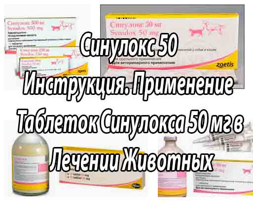 Синулокс таблетки 50 мг: Инструкция к ветеринарному применению (механизм действия, показания, фармакология, противопоказания)