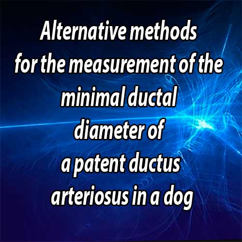 Alternative methods for the measurement of the minimal ductal diameter of a patent ductus arteriosus in a dog
