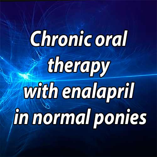 Chronic oral therapy with enalapril in normal ponies