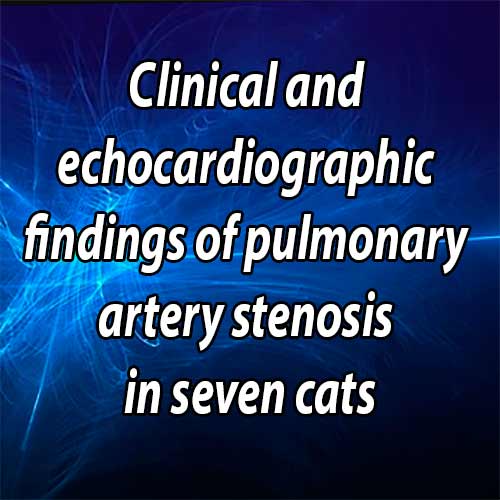 Clinical and echocardiographic findings of pulmonary artery stenosis in seven cats