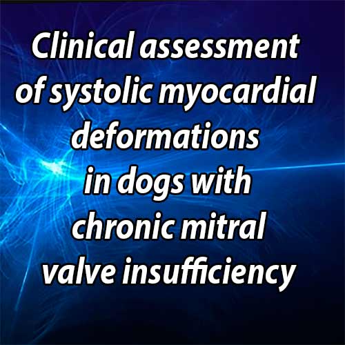 Clinical assessment of systolic myocardial deformations in dogs with chronic mitral valve insufficiency using two-dimensional speckle-tracking echocardiography