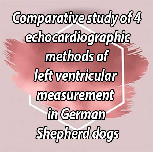 Comparative study of 4 echocardiographic methods of left ventricular measurement in German Shepherd dogs