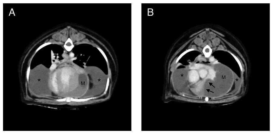 Transverse post contrast CT images (W: 320, L: 30) at the level of the left ventricle