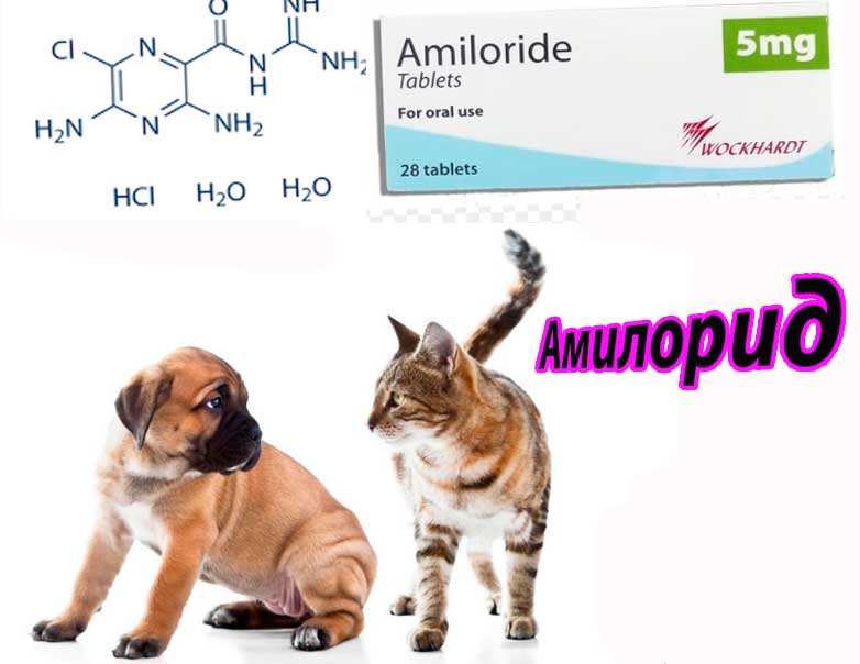 Инструкция к применению Амилорида (Amiloride) в гуманной и ветеринарной медицине (синонимы, фармакология, дозирование, использование собакам и кошкам)