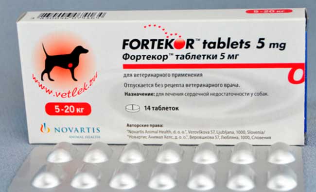 Инструкция по применению препарата фортекор (таблетки 2,5; 5 и 20 мг) для кошек и собак