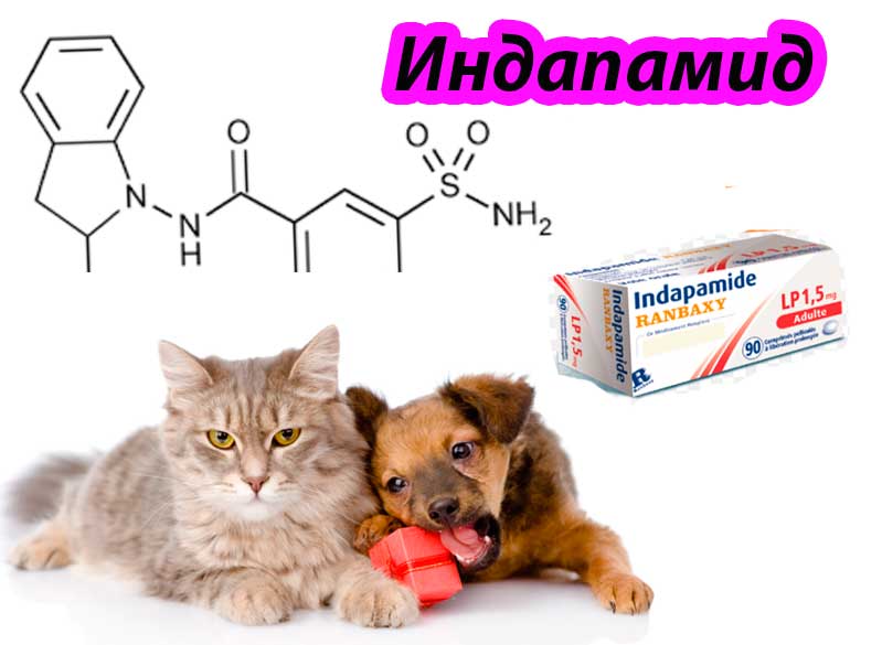 Инструкция к применению индапамида  в гуманной и ветеринарной медицине (синонимы, фармакология, дозирование, использование собакам и кошкам)