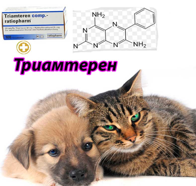 Инструкция к применению препарата Триамтерен (Triamterene) в гуманной и ветеринарной медицине