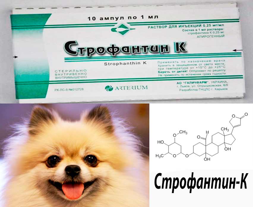 Инструкция по применению препарата строфантина-К (Strophanthin-K)  у человека, собак, лошадей и крупного рогатого скота (КРС)