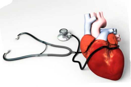 Компенсаторные ответы организма на формирование сердечной недостаточности
