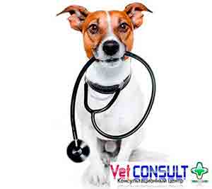 Veterinary Cardiological Consulting Centre