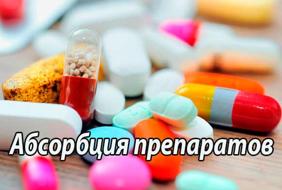 Абсорбция препаратов – Абсорбция лекарств