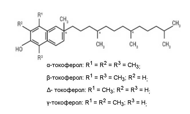 Альфа-токоферол – α-токоферол - Витамин Е