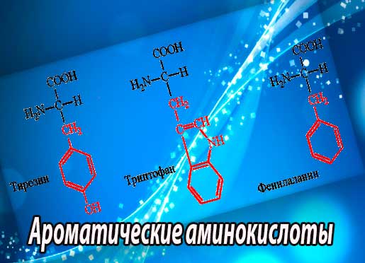 Ароматические аминокислоты (аминокислоты ароматического ряда)