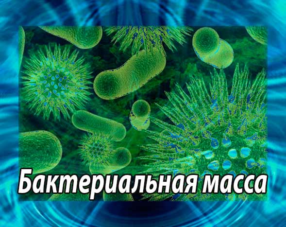 Бактериальная масса – Бакмасса - Биомасса