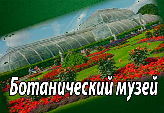 Ботанический музей (музей ботанике мира, СНГ и Украины)