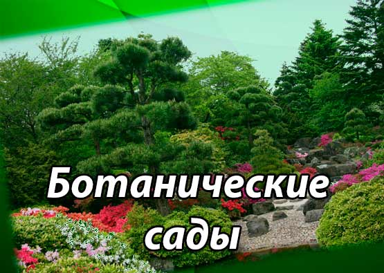 Ботанические сады Мира и Украины. Дендрологические ботанические сады. Характеристика территорий ботанических садов