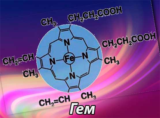Гем (Haemum) - Строение молекулы гема и особенности его синтеза