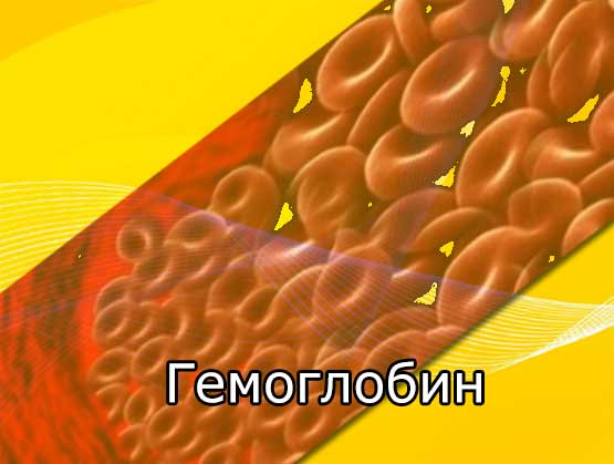 Гемоглобин – общеклинический параметр. Показатели гемоглобина в крови