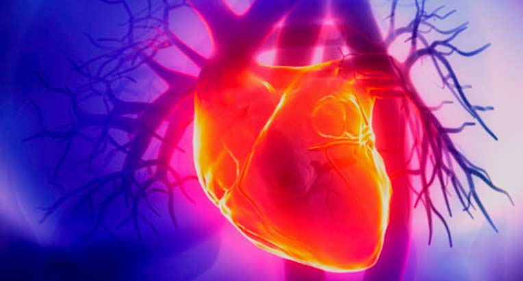 Симптомы и синдромы сердечной недостаточности