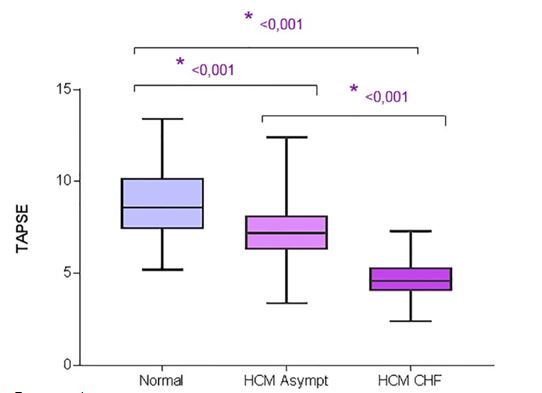 Диаграмма размаха для TAPSE у контрольных кошек, бессимптомных кошек с HCM и кошек с HCM и CHF