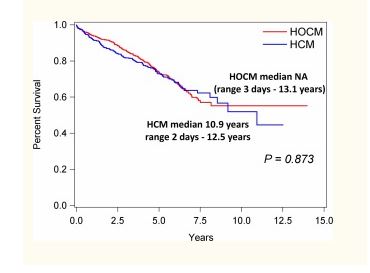 Кривые выживаемости Каплана-Мейера оценивают процентное соотношение 430 кошек с небструктивной (HCM) по сравнению с 578 кошками с обструктивной формой (HOCM) гипертрофической кардиомиопатии