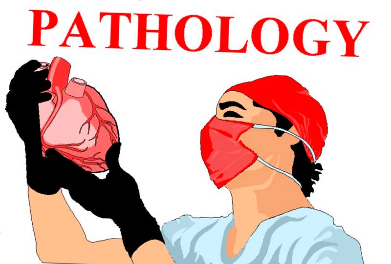 Патанатомія (патоморфологія) у ветеринарній кардіології
