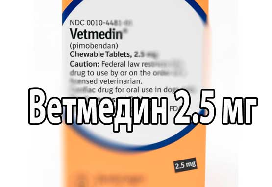 Ветмедин 2.5 мг купить. Информация для владельцев животных. Ветмедин аналог для собак