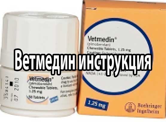 Ветмедин - это лекарство, назначенное вашим ветеринаром для лечения сердечной болезни вашей собаки или кошки. Цена ветмедина в г. Москва