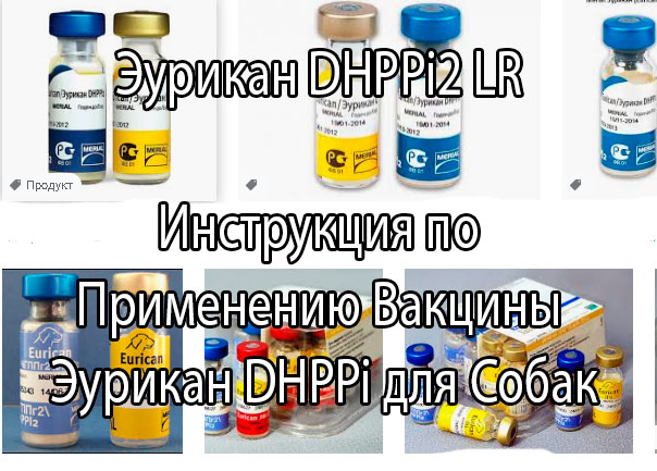 Эурикан (DHPPi2,  LR, L, R, DHPPi). Вакцина для собак (инструкция по применению, профилактические прививки)