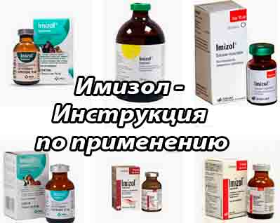 Имизол (IMIZOL®) - Инструкция к применению препарата Имизол собакам и животным (имидокарб дипропионат)
