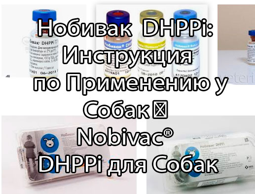 Нобивак  DHPPi для собак. Инструкция по применению импортной вакцины для собак Nobivac® DHPPi