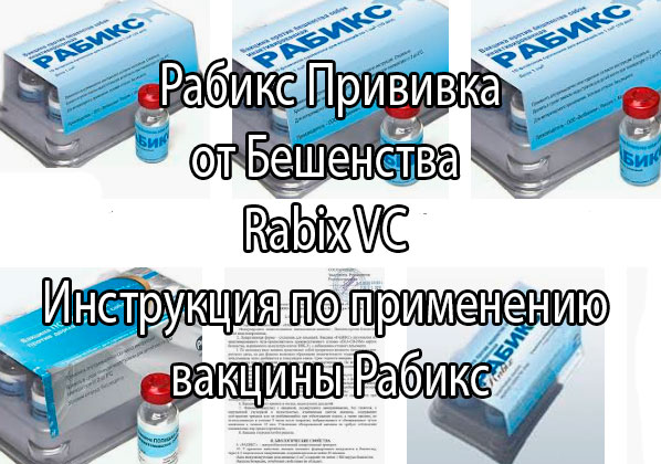 Прививка Рабикс (инструкция по применению, показания и противопоказания)