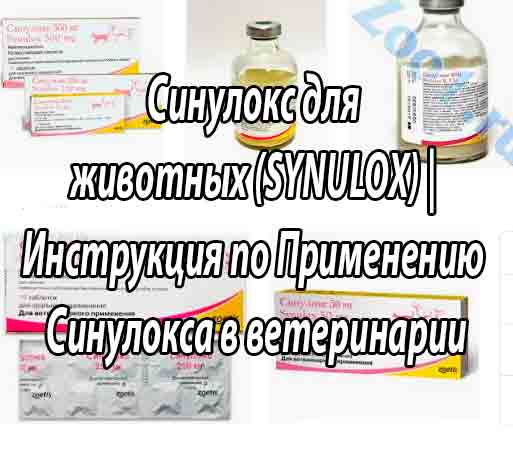 Инструкция по применению синулокса в ветеринарии. Рассчитайте оптимальную дозу препарата SYNULOX
