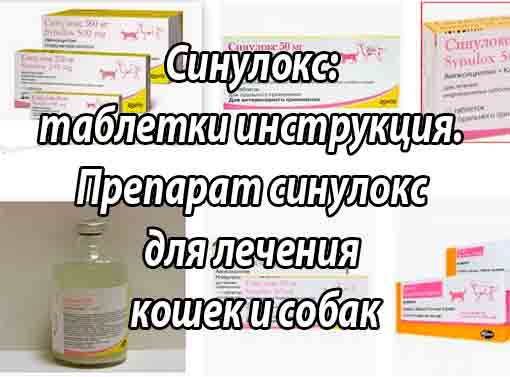 Синулокс в таблетках по 50 мг, 250 и 500 мг