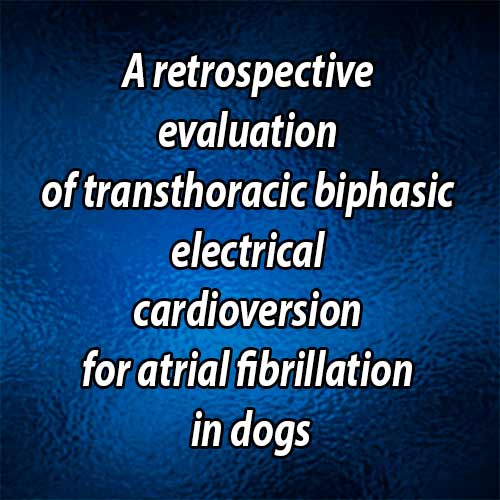 A retrospective evaluation of transthoracic biphasic electrical cardioversion for atrial fibrillation in dogs