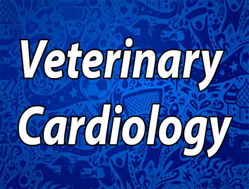 Journal of Veterinary Cardiology 