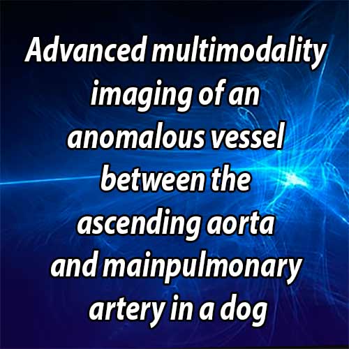 Advanced multimodality imaging of an anomalous vessel between the ascending aorta and mainpulmonary artery in a dog