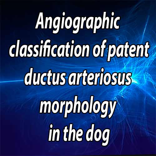 Angiographic classification of patent ductus arteriosus morphology in the dog