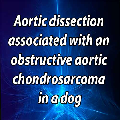 Aortic dissection associated with an obstructive aortic chondrosarcoma in a dog