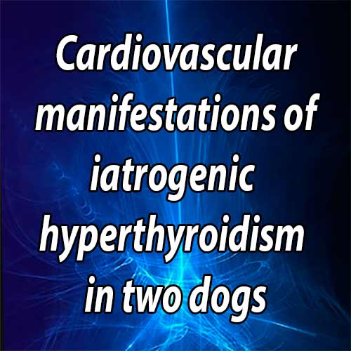 Cardiovascular manifestations of iatrogenic hyperthyroidism in two dogs