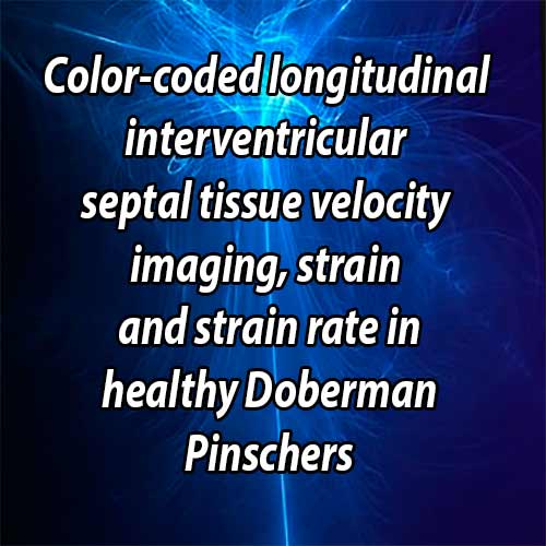 Color-coded longitudinal interventricular septal tissue velocity imaging, strain and strain rate in healthy Doberman Pinschers