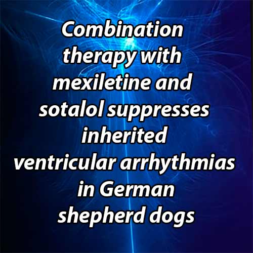 Combination therapy with mexiletine and sotalol suppresses inherited ventricular arrhythmias in German shepherd dogs better than mexiletine or sotalol monotherapy: a randomized cross-overstudy