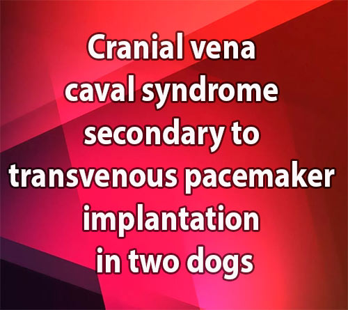 Cranial vena caval syndrome secondary to transvenous pacemaker implantation in two dogs