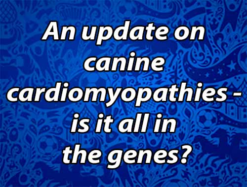 An update on canine cardiomyopathies - is it all in the genes?