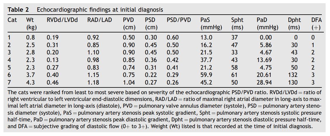 Echocardiographic findings at initial diagnosis